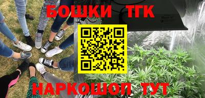 эйфоретик Гусь-Хрустальный