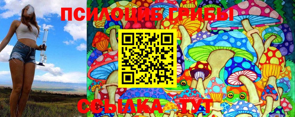 Галлюциногенные грибы Magic Shrooms  Галлюциногенные грибы Psilocybe  закладки  Магадан  Вход с VPN 