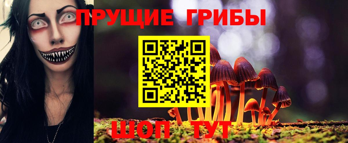 Галлюциногенные грибы прущие грибы Магадан